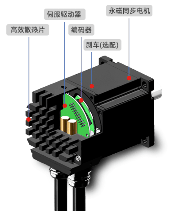 1733298414412143.png 解剖圖.png